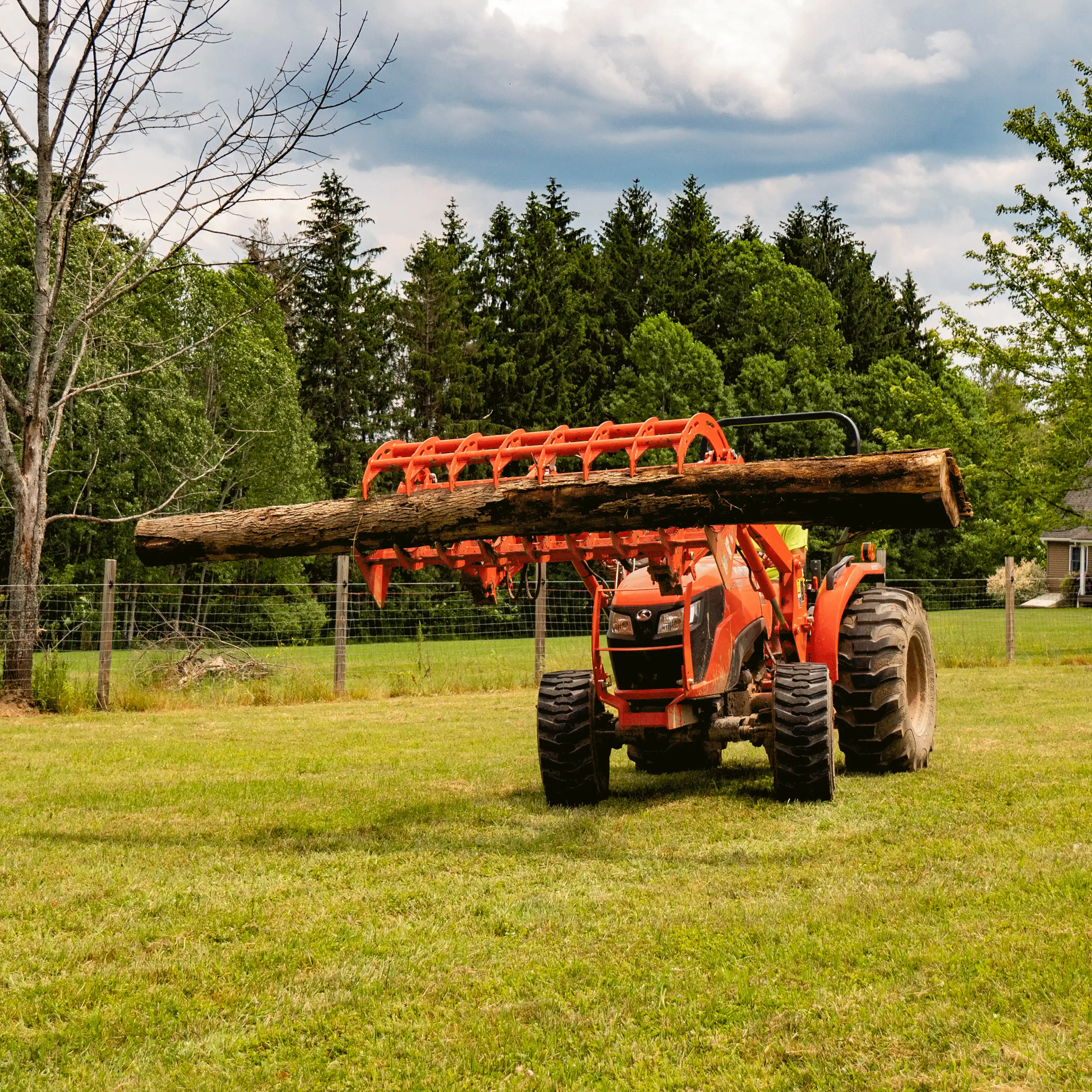 Root Grapple